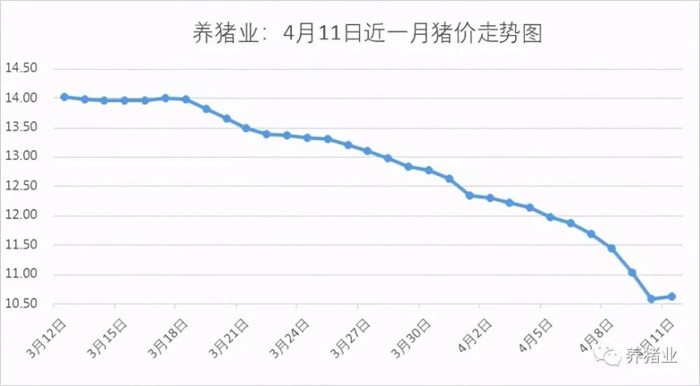 疫情现状