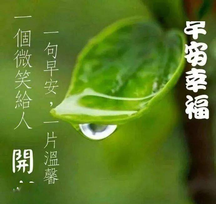 小日记记录时刻