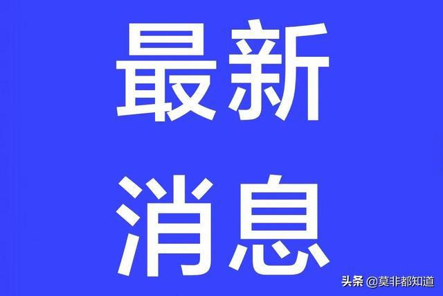 疫情动态更新