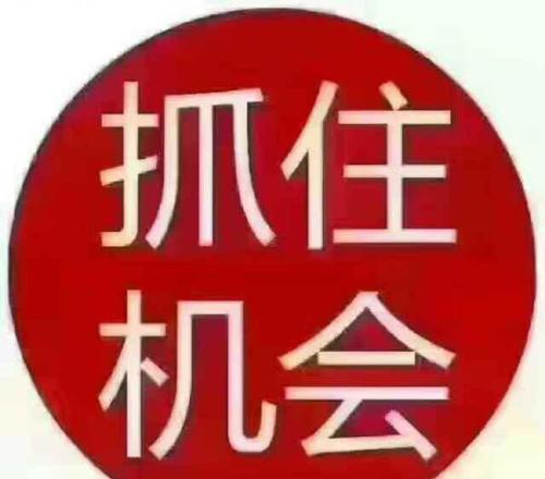 界龙实业股票最新动态与市场反响分析，最新消息一览（25日）