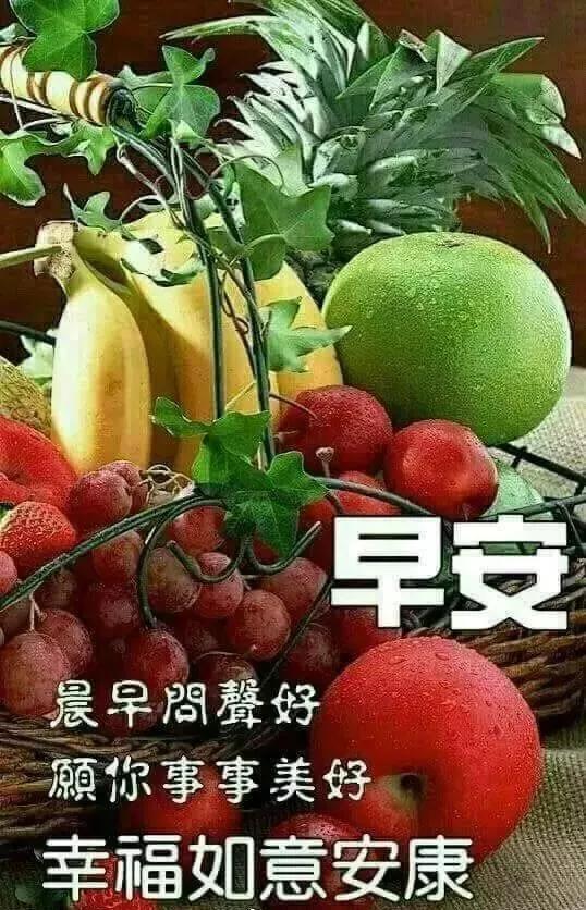 友情树