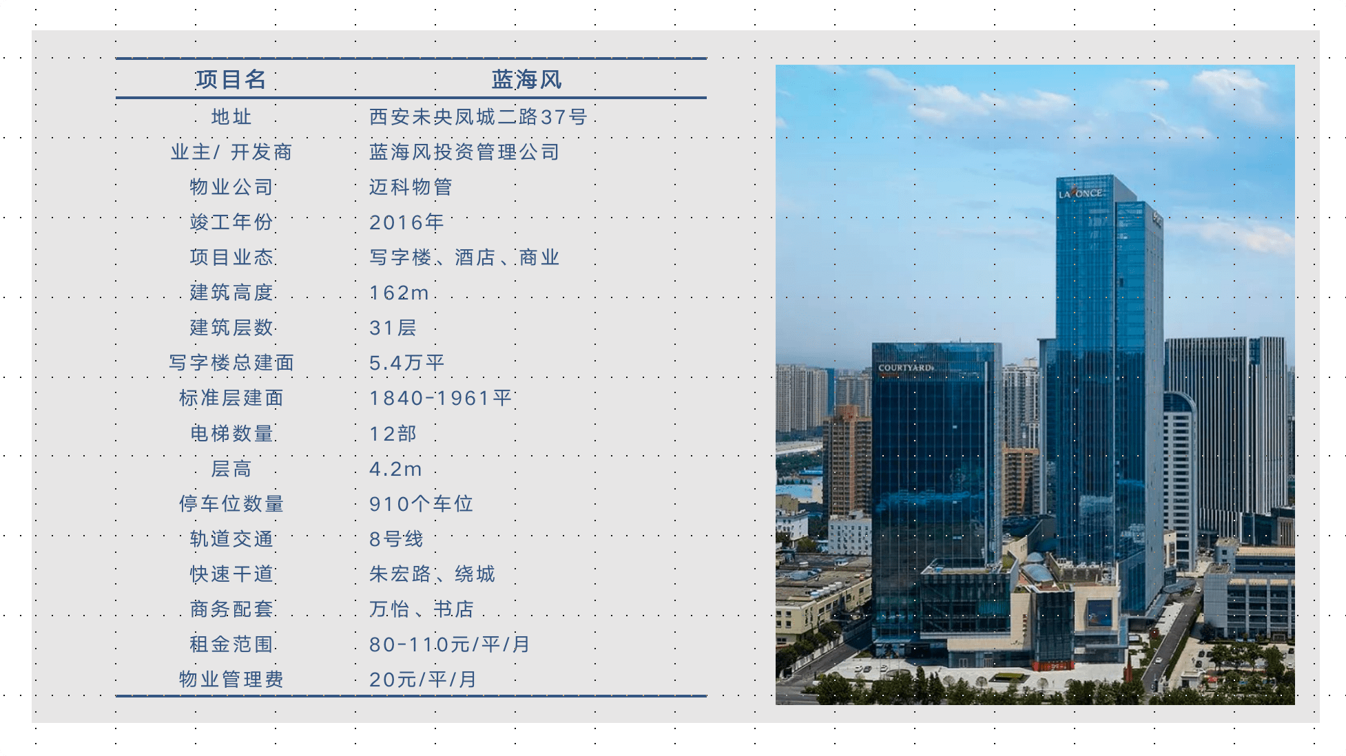 西安市最新招聘趋势热点聚焦，深度探析招聘热点与某某观点剖析