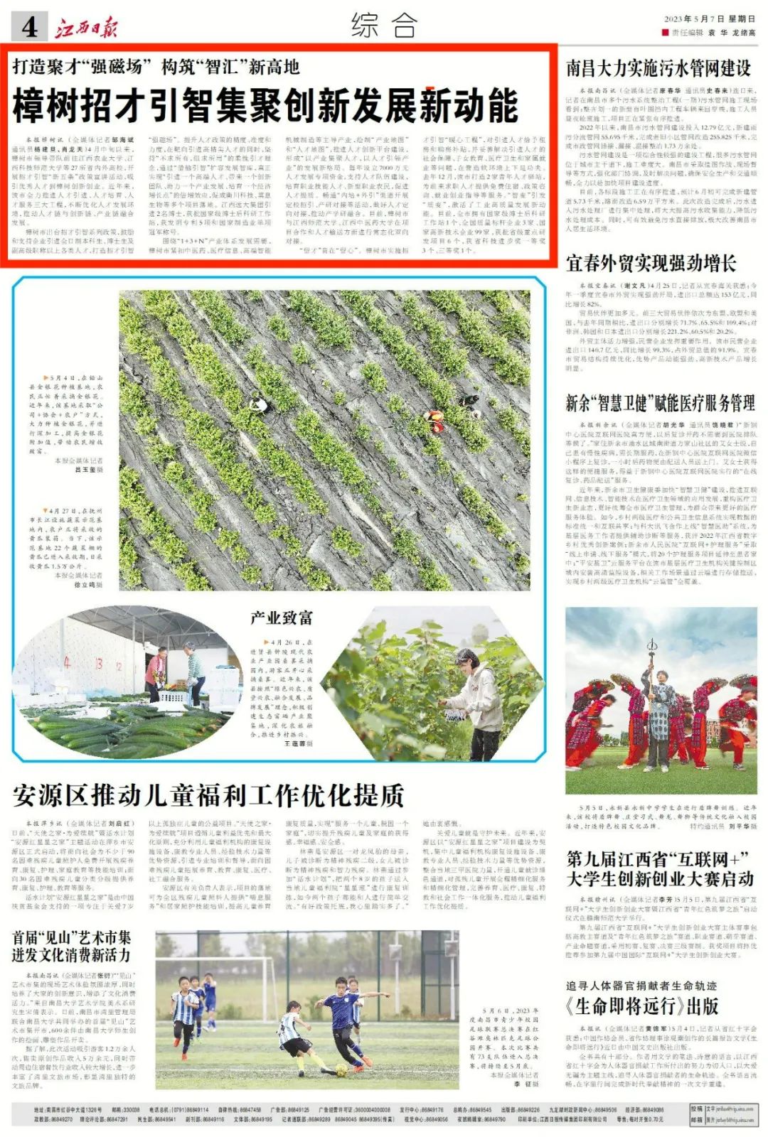 樟树最新招聘信息深度解析，特性、体验、竞品对比及用户群体分析全攻略