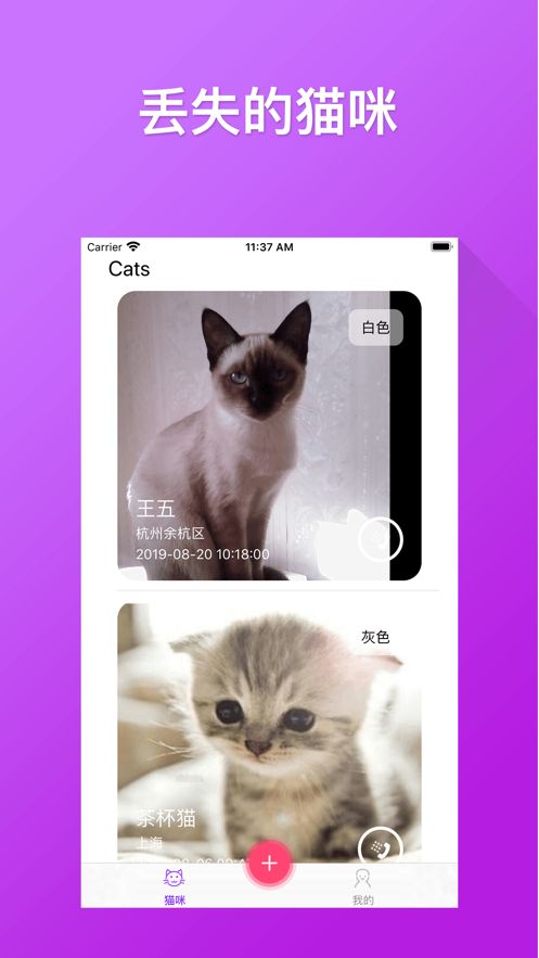 从破解版猫咪app到自信成就之路，猫咪励志故事