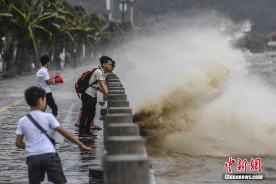 台风预警下的深圳日常，风雨中的温馨故事