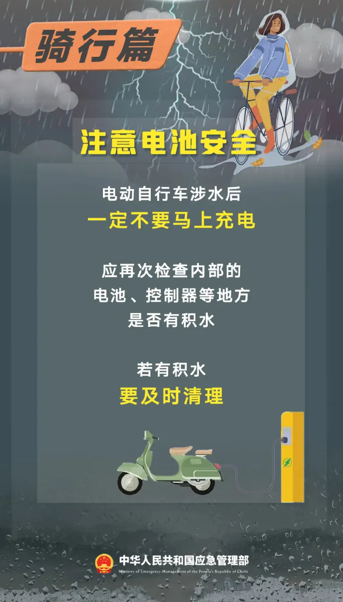 新奥天天精准资料大全，专业调查具体解析_外观版4.66.195