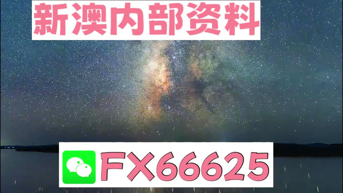 新澳天天彩免费资料大全查询，实时处理解答计划_清新版4.66.348