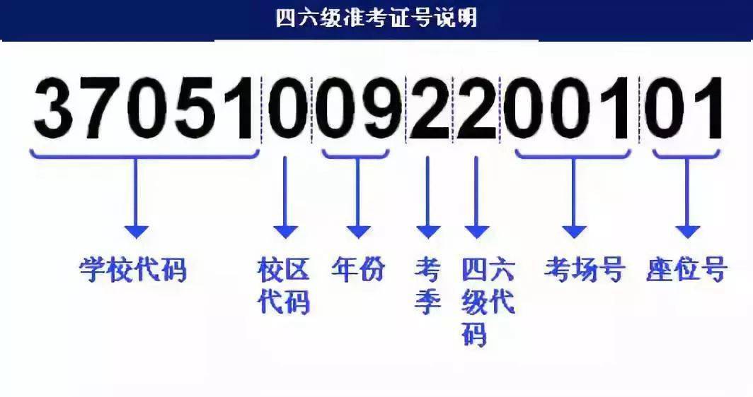 新澳门4949正版大全，精准解答方案详解_硬核版4.66.654