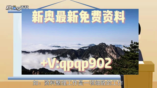 2024新奥正版资料免费，完整的执行系统评估_网页版55.19.27