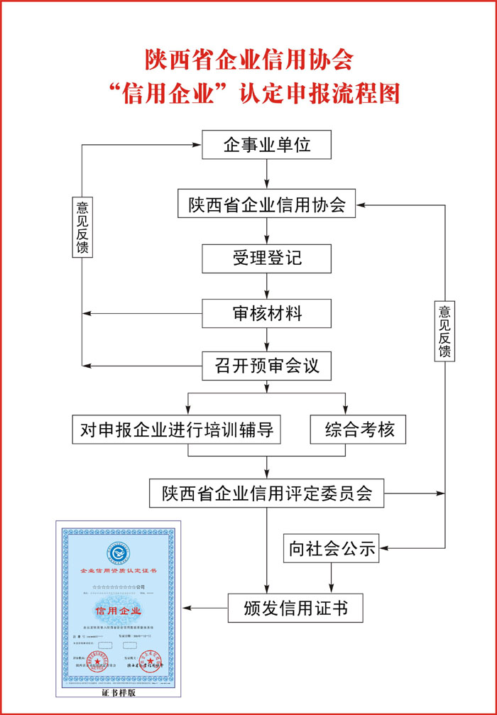 11月1日最新企业认证流程详解及操作指南