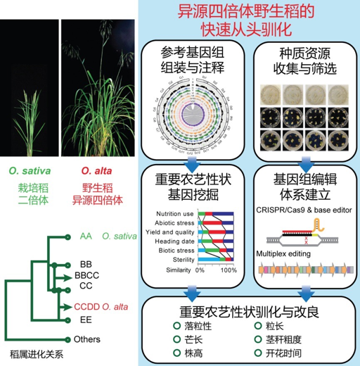 三肖三码100%中_最新广澳高速车祸,全面设计实施策略_光辉版7.57.39