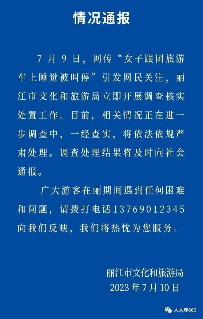 11月3日网络热词探索指南，最新流行词汇一网打尽