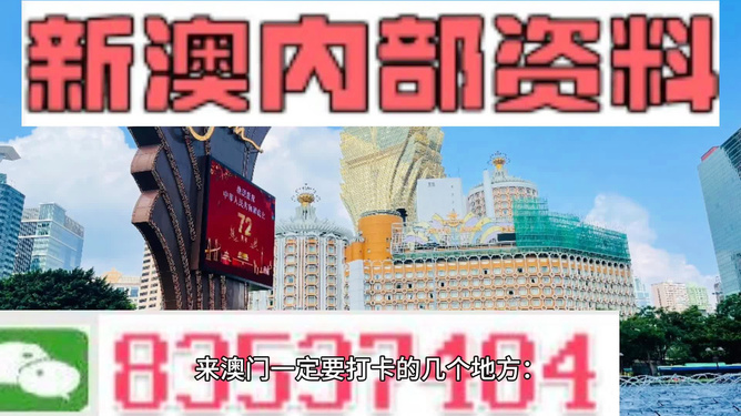 新澳门精准资料免费,深入现象解答解释探讨_P型3.232