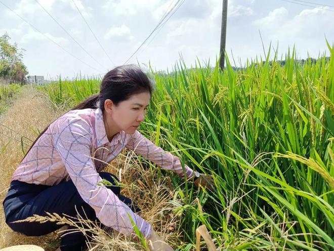 11月4日农村小军嫂最新章节阅读指南，轻松获取更新动态