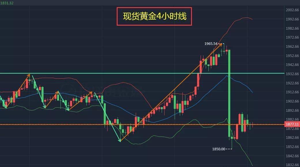 11月4日最新小麦走势，变化之旅与成就感的源泉