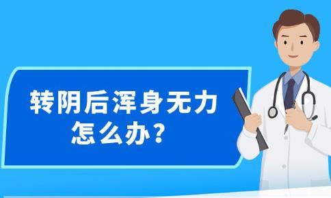 2024年新澳正版精准资料免费大全,实时说明数据解析_纯净集58.849