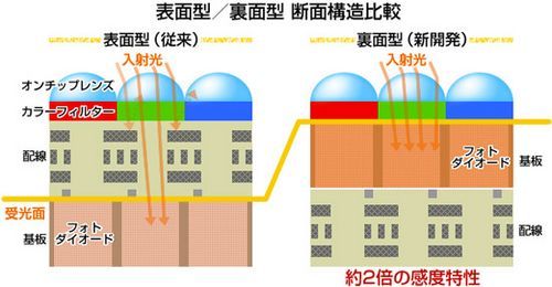 最准一肖一码100%精准软件,快速解答解释现象_实验款77.467