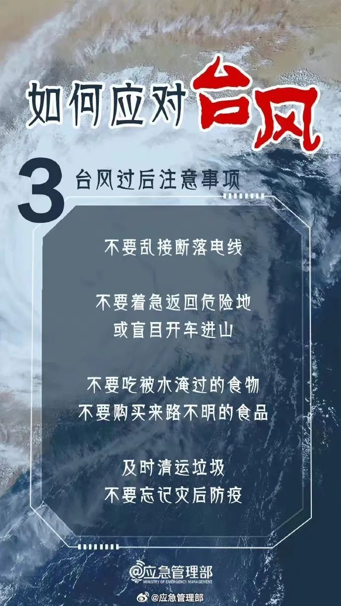 梁土林最新案情深度解析（11月7日更新版）