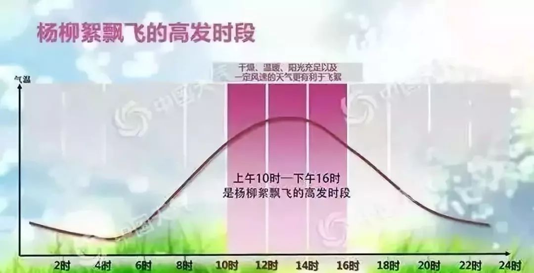 最新地址精子窝探索指南，从初学者到进阶用户的全方位指南（11月7日更新版）