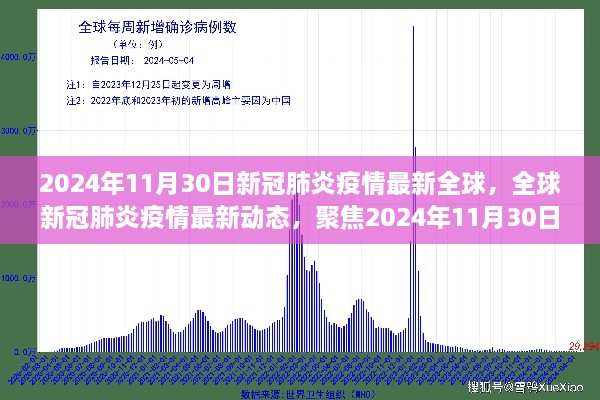 2024年12月1日 第29页