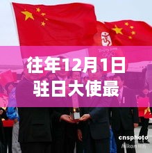 聚焦往年12月1日，驻日大使最新动态及其影响深度解析——某某观点阐述