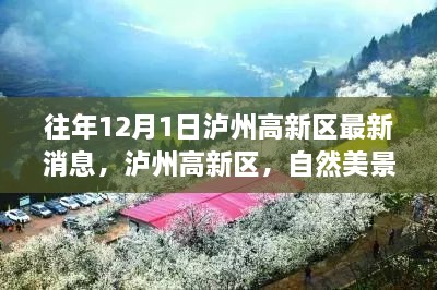 泸州高新区自然美景之旅，探索心灵的宁静港湾最新消息发布