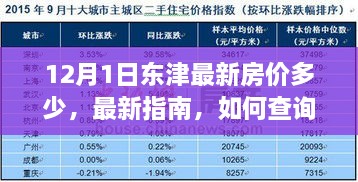 东津最新房价指南，12月1日房价查询及趋势分析