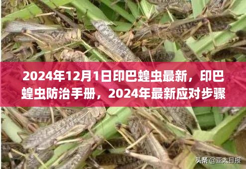 印巴蝗虫防治手册，应对步骤指南（初学者与进阶用户适用） 2024年最新更新