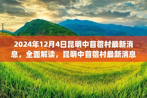 昆明中苜蓿村最新消息深度解读与评测（2024年12月版）