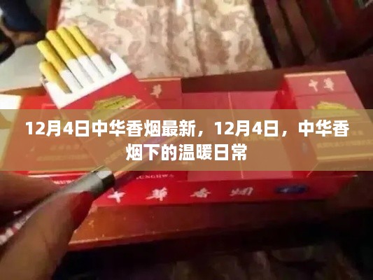 中华香烟下的日常温暖，12月4日的最新篇章