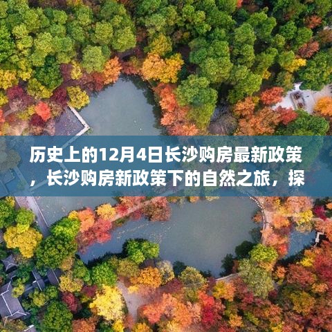 长沙购房新政策下的历史探寻，自然之旅与内心宁静的和谐之旅