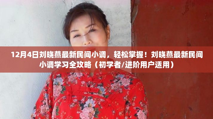 刘晓燕最新民间小调学习指南，从初学者到进阶用户的全攻略