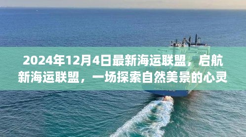 启航新海运联盟，探索自然美景的心灵之旅（2024年最新）