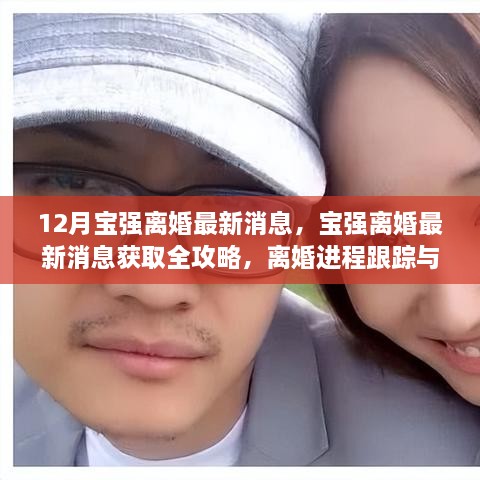 宝强离婚最新消息全攻略，进程跟踪与深度理解