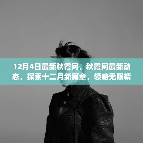 12月4日秋霞网最新动态，探索十二月新篇章，无限精彩内容一览