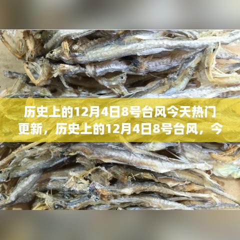 历史上的12月4日，揭秘8号台风今日热门更新全面评测介绍