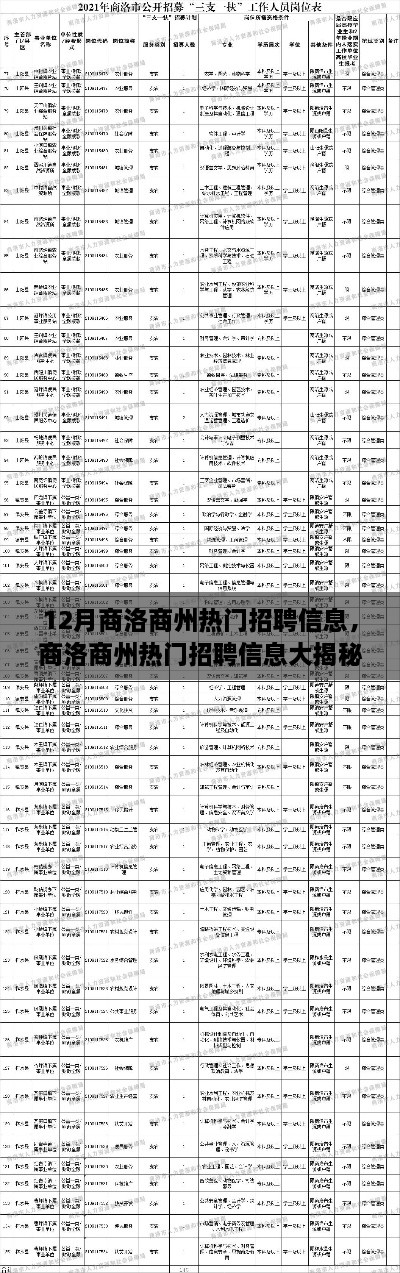 2024年12月5日 第12页