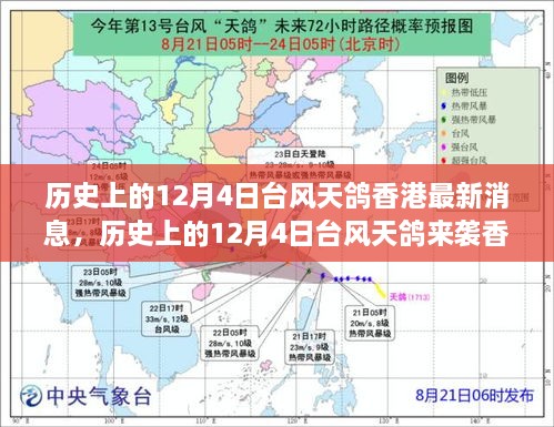 历史上的12月4日台风天鸽袭击香港，最新消息与全面评测报告