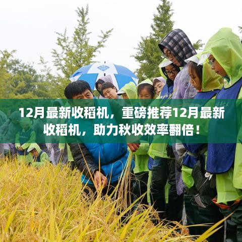 12月最新收稻机助力秋收效率翻倍，重磅推荐！