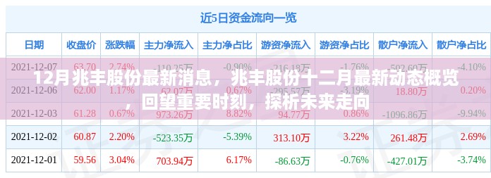 兆丰股份十二月动态概览，回顾重要时刻，展望未来发展