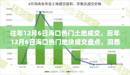 海口历年土地市场动向解析，热门地块成交盘点与土地市场新动向洞悉