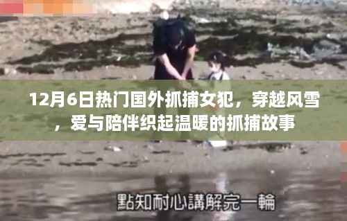 风雪中的爱与陪伴，国外女犯抓捕的温暖故事