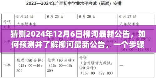 柳河最新公告预测指南，初学者与进阶用户一步掌握2024年12月6日公告解读