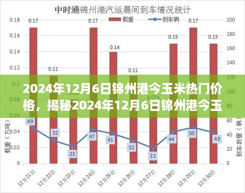 揭秘，2024年12月6日锦州港玉米市场热门价格及其趋势分析