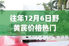 野黄芪价格深度解析，历年12月6日市场动态与趋势分析