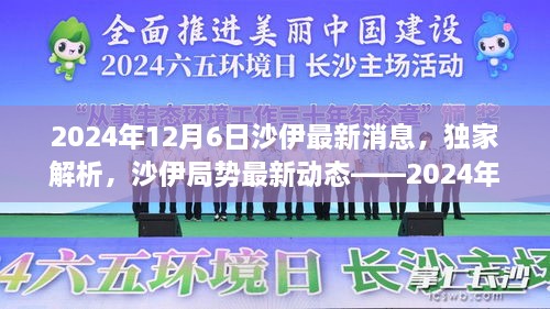 独家解析，沙伊局势最新动态深度报告（2024年12月6日）