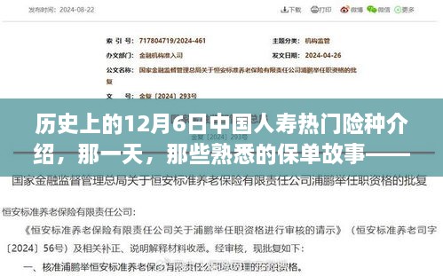 历史上的12月6日中国人寿热门险种揭秘，保单故事与险种回顾