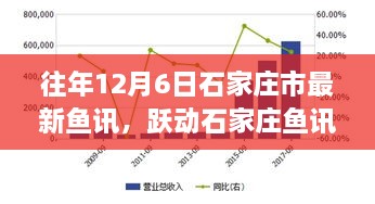 往年12月6日石家庄鱼讯概览，跃动市场，学习之旅中的自信与成就感之源