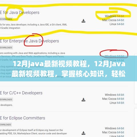 掌握核心知识，最新Java视频教程，轻松入门编程世界（12月版）