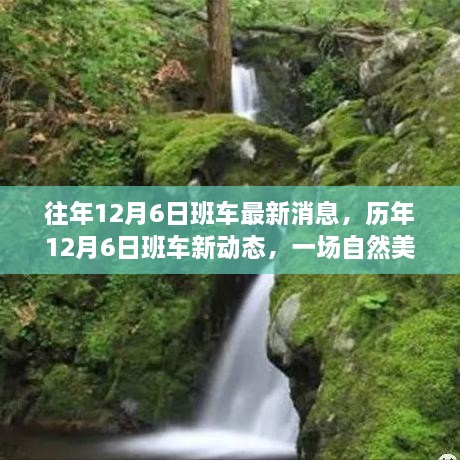 历年12月6日班车新动态，自然美景探索之旅，追寻内心平和与宁静的旅程